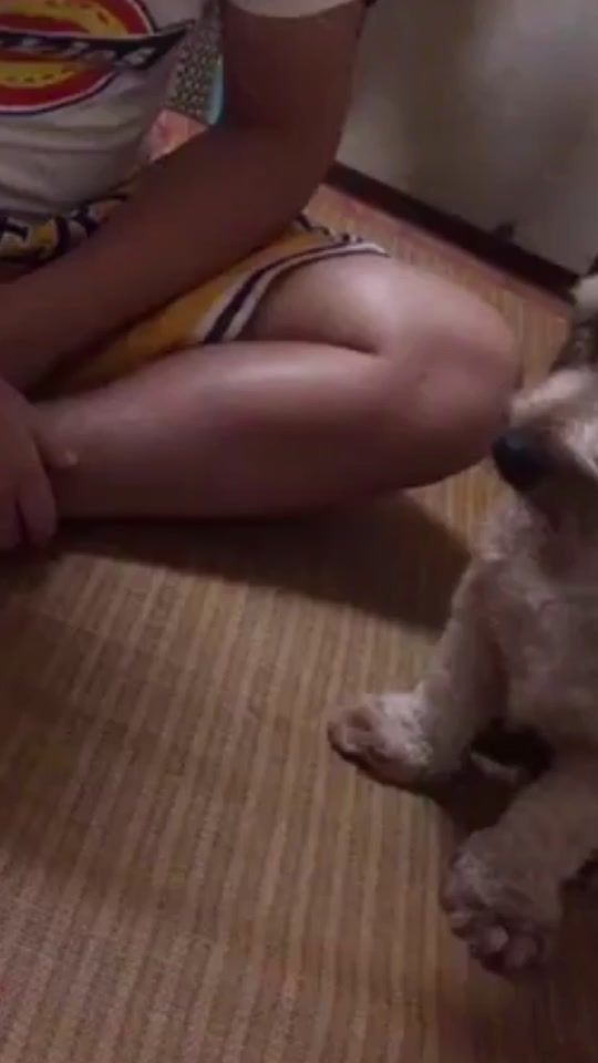 TikTok video thumbnail by snpluspet