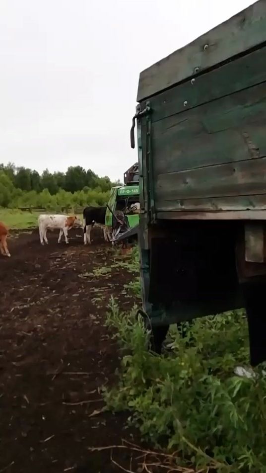 TikTok video thumbnail by sergeitronts2oo2
