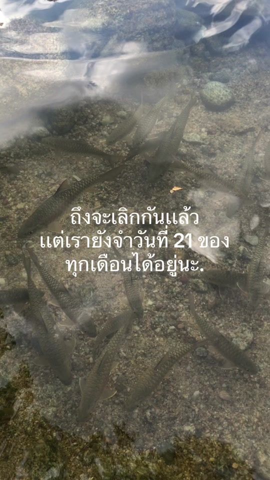 TikTok video thumbnail by mg_211163