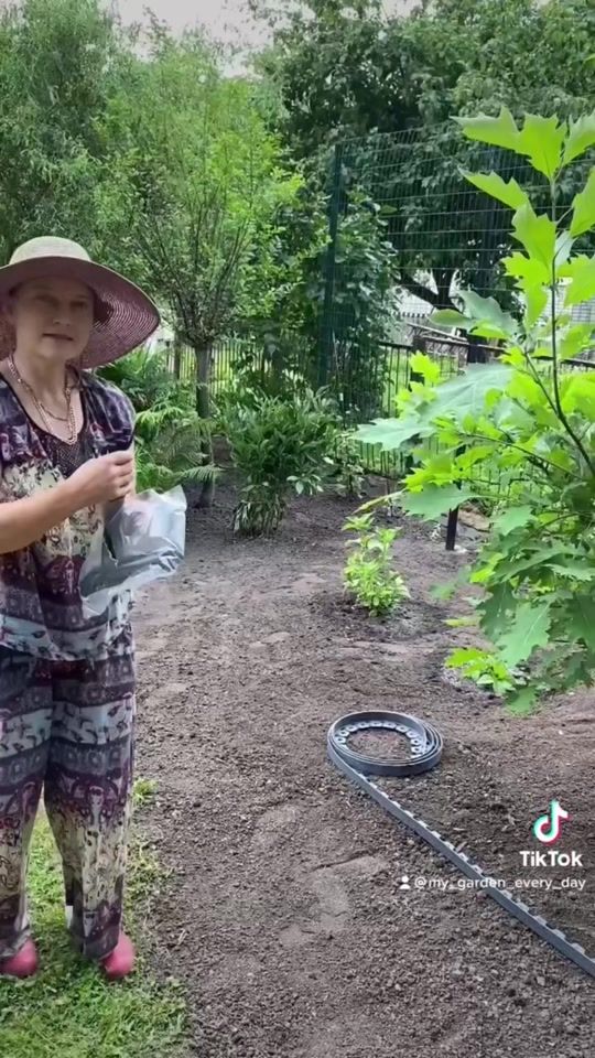 TikTok video thumbnail by my_garden_every_day