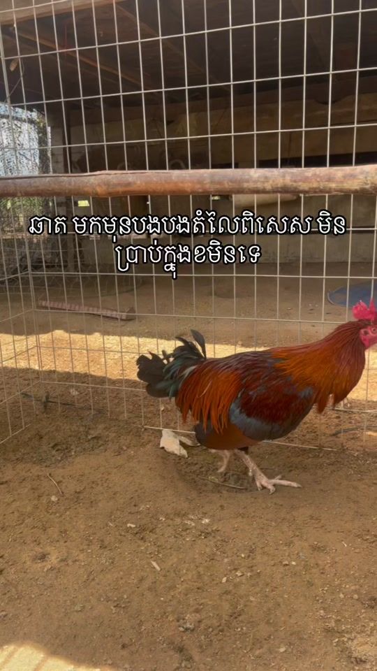 TikTok video thumbnail by kennyzin2