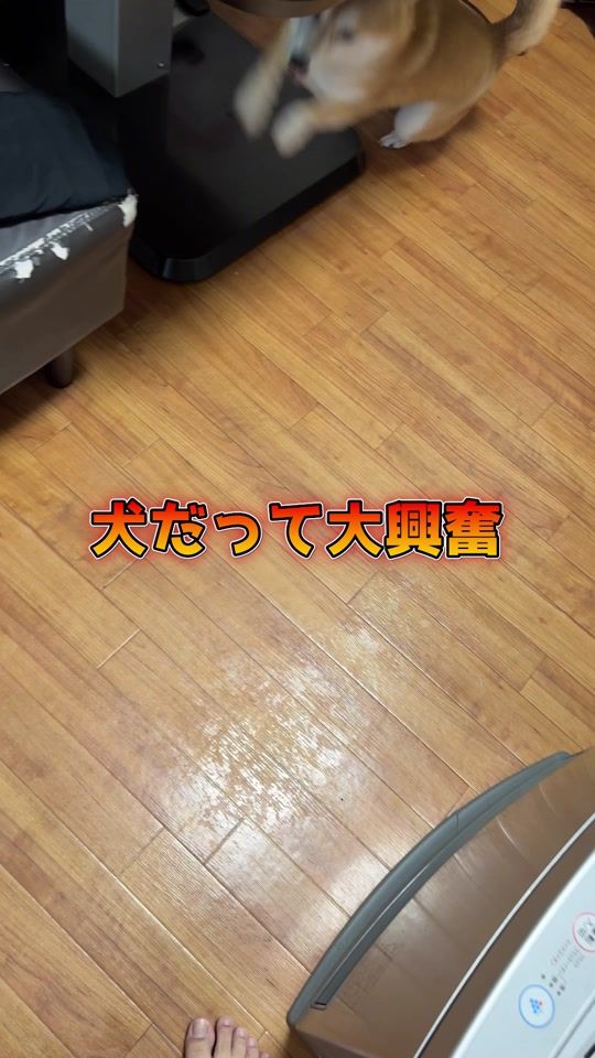 TikTok video thumbnail by caskson_tiktok