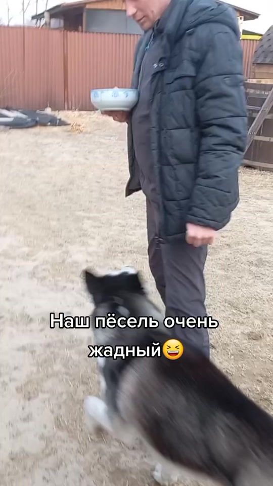 TikTok video thumbnail by mizgir_1