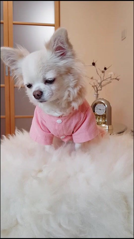 TikTok video thumbnail by eva_chihua