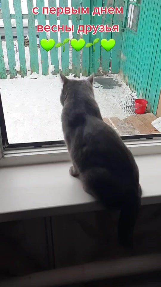 TikTok video thumbnail by 64liliya