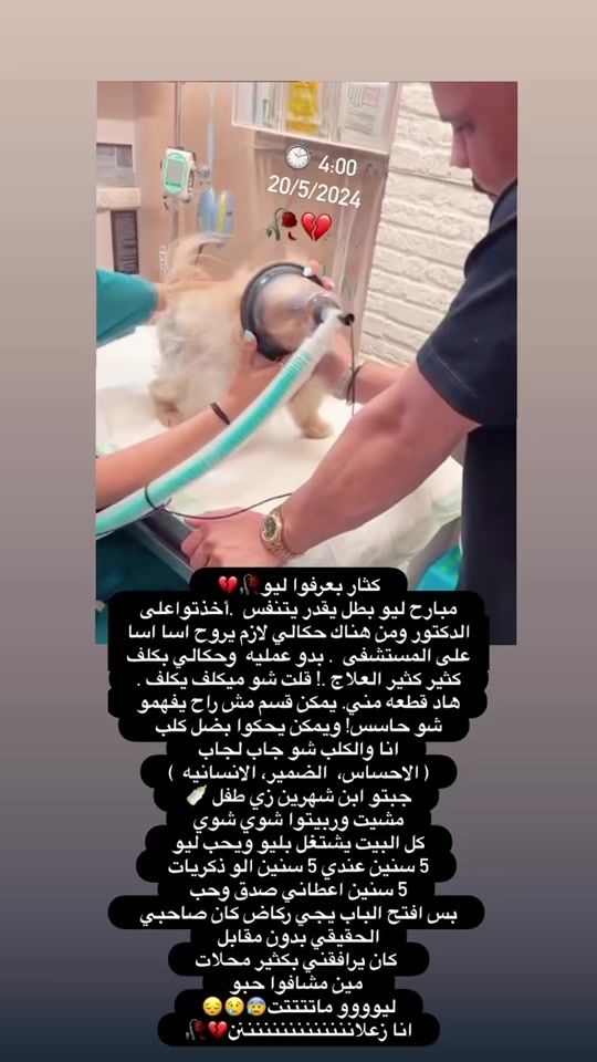 TikTok video thumbnail by gali_awad