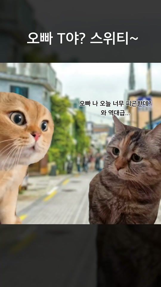 TikTok video thumbnail by 3menbasket
