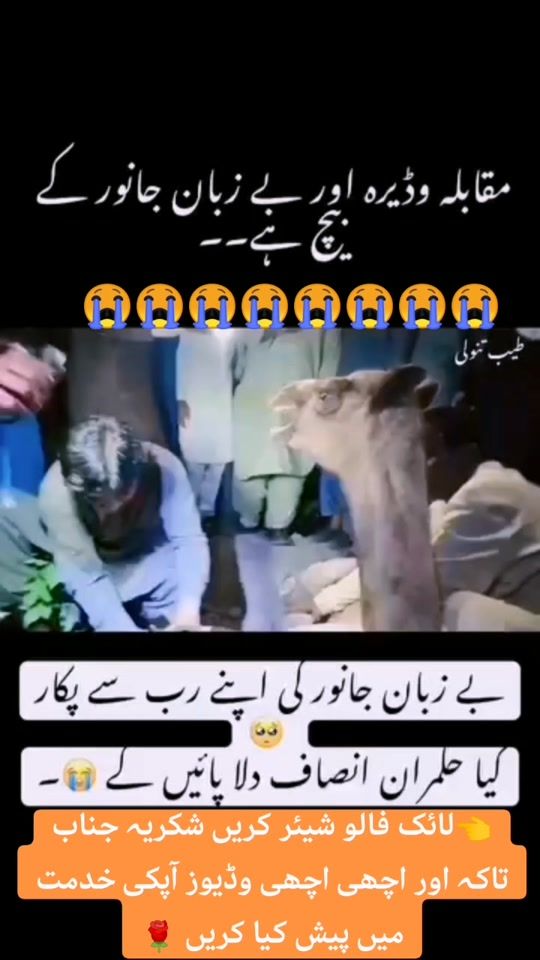 TikTok video thumbnail by khalidmehmood3651