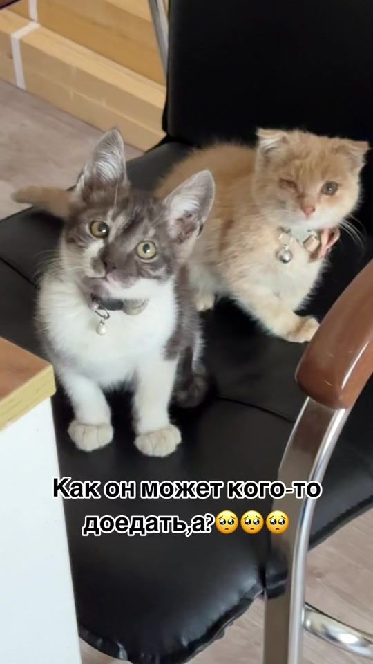 TikTok video thumbnail by iamsem_