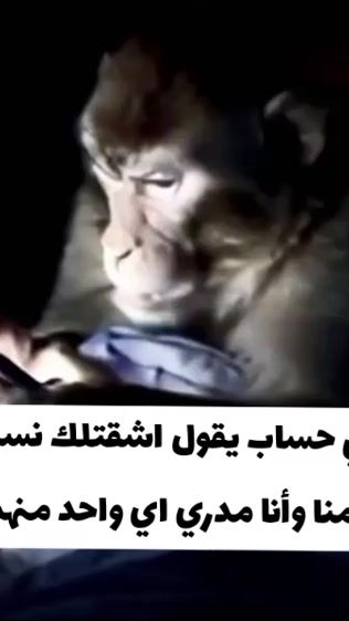 TikTok video thumbnail by xxx33ar
