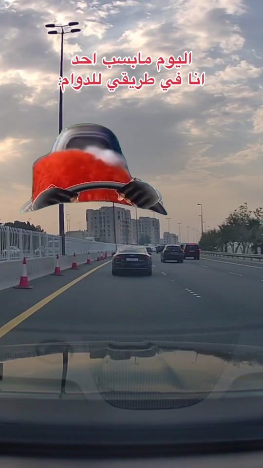 TikTok video thumbnail by 66z0