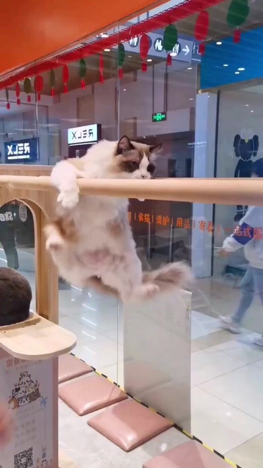 TikTok video thumbnail by discoverer_