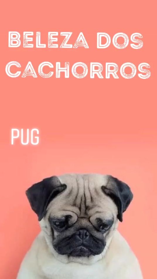 TikTok video thumbnail by cachorros_aesthetic2000