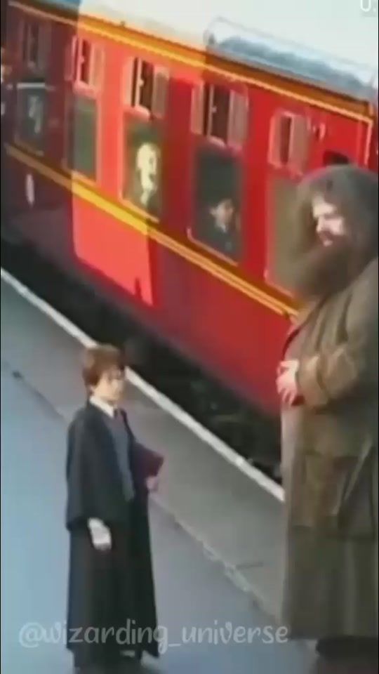 TikTok video thumbnail by wizarding_universe