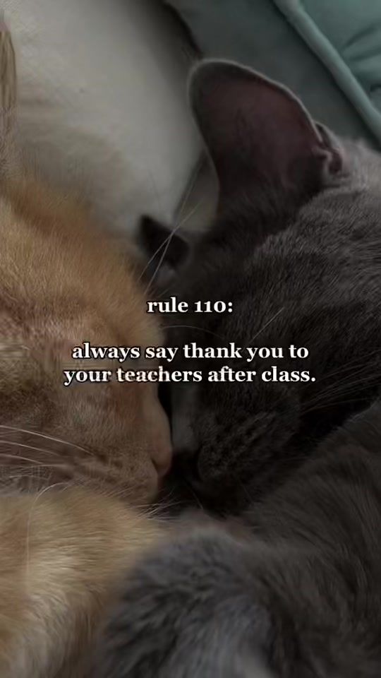 TikTok video thumbnail by my.unspoken.rules