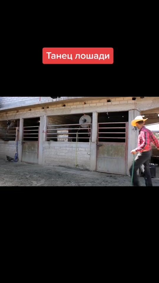 TikTok video thumbnail by rodion_gdshgf44y43ry