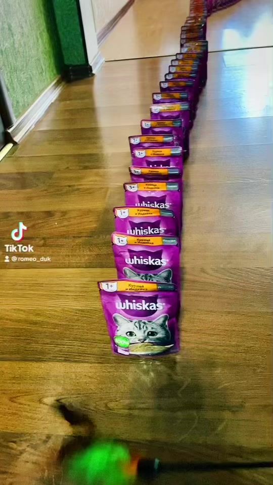 TikTok video thumbnail by romeo_duk