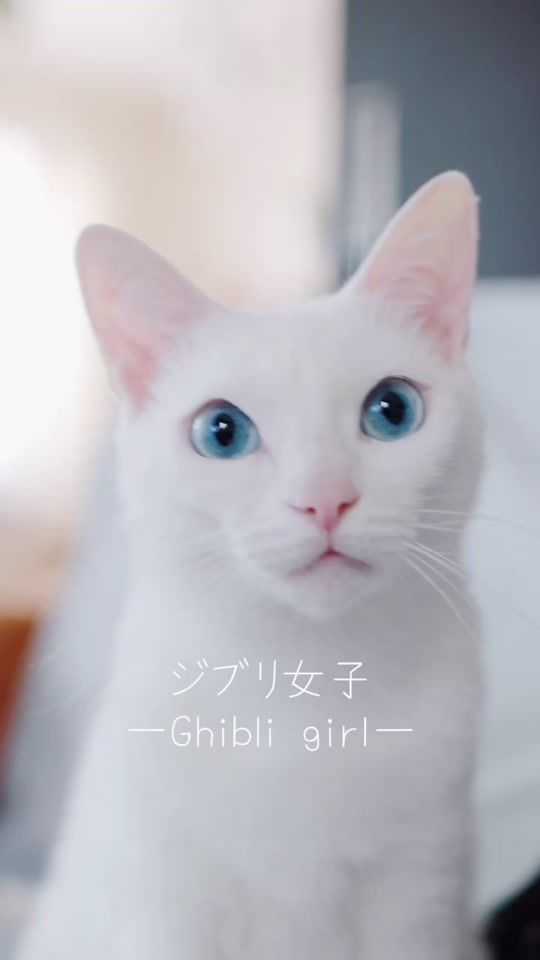 TikTok video thumbnail by kira_h.p