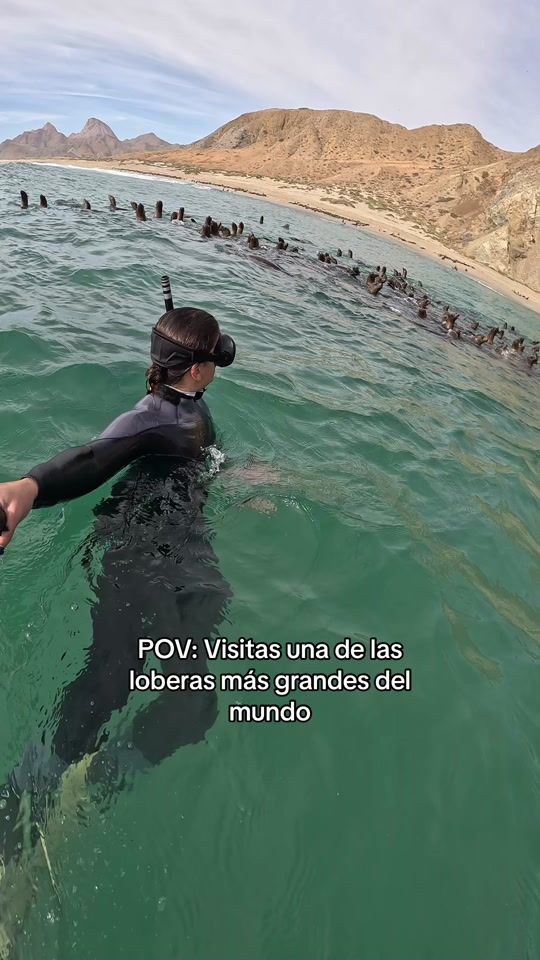 TikTok video thumbnail by mariabarbena