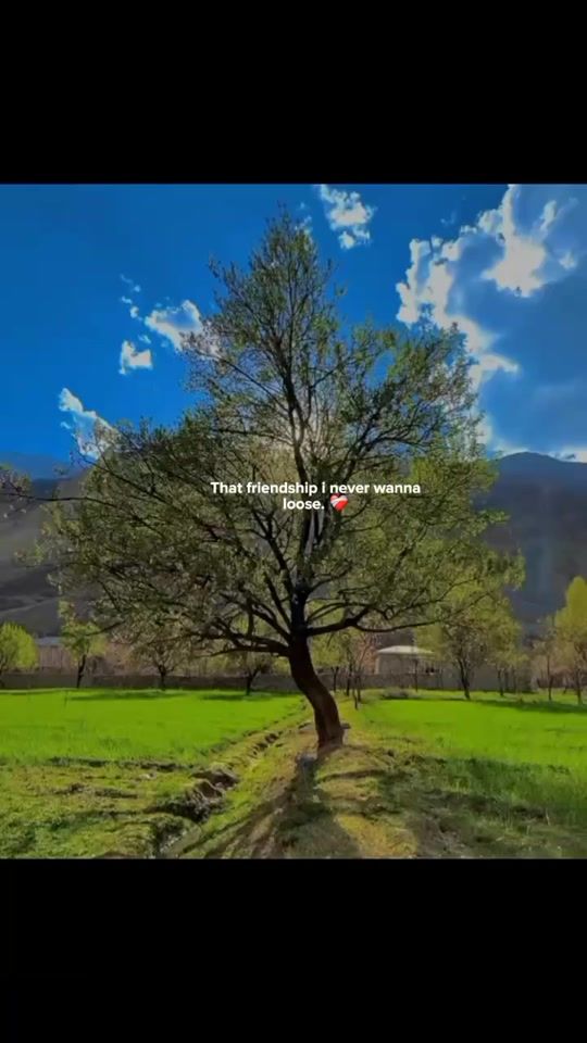 TikTok video thumbnail by moon_jev4