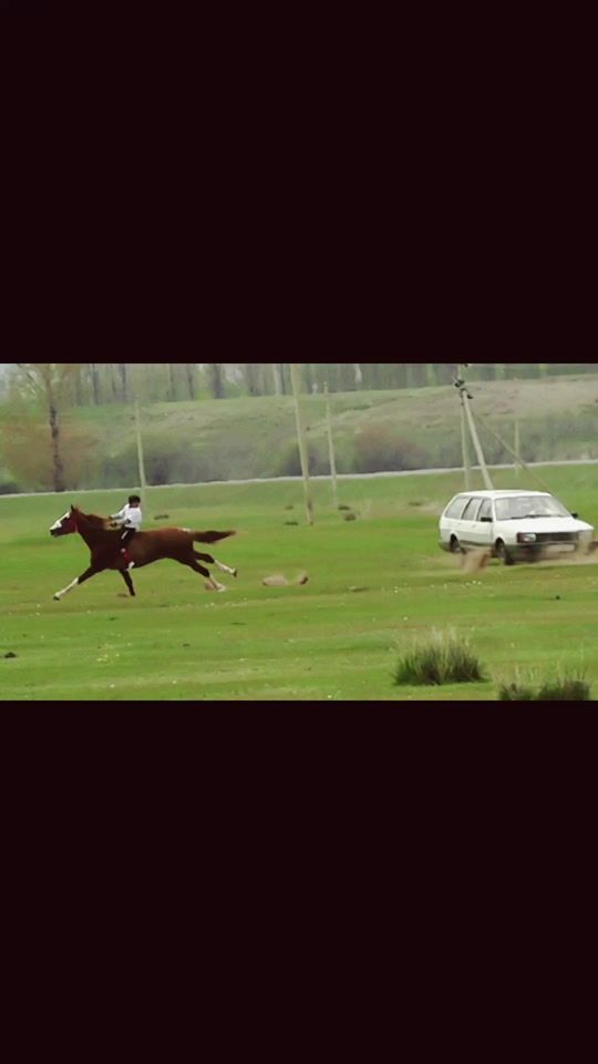 TikTok video thumbnail by kyrgyztulpar