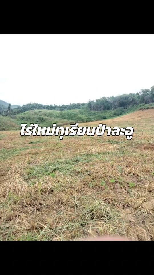 TikTok video thumbnail by nol337