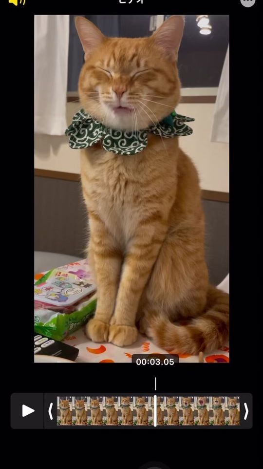 TikTok video thumbnail by maron_choko