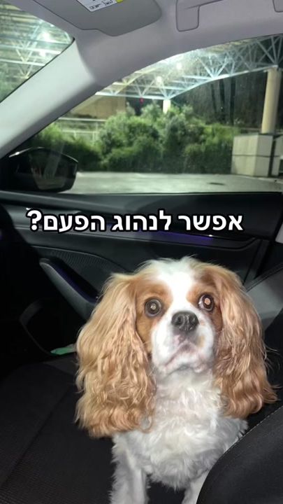 TikTok video thumbnail by rom_z10