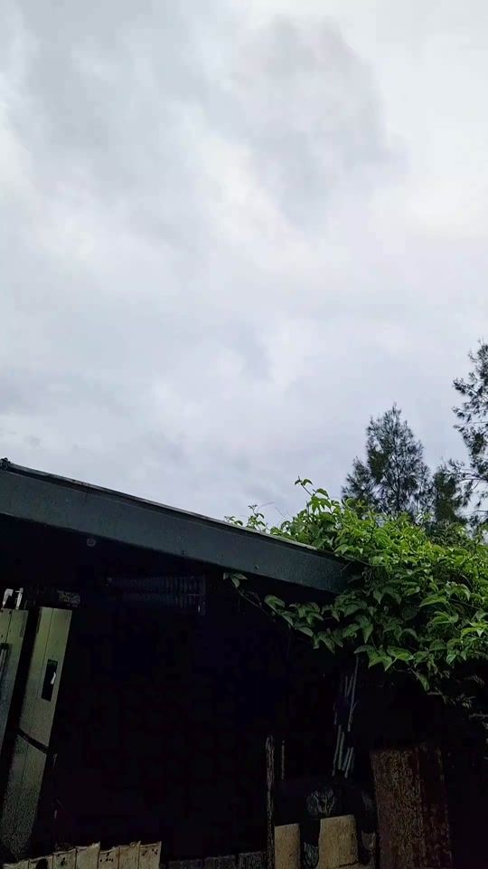 TikTok video thumbnail by mady_tams