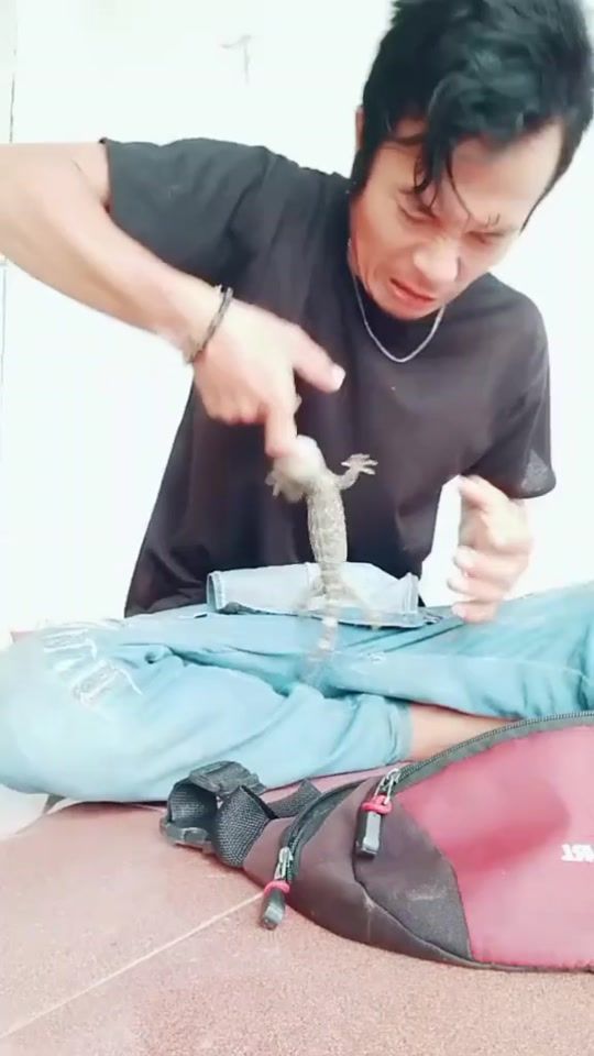 TikTok video thumbnail by 88lika16