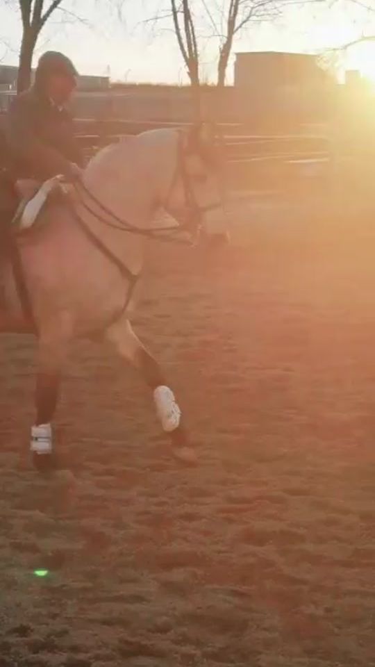 TikTok video thumbnail by crisalvarez.horses