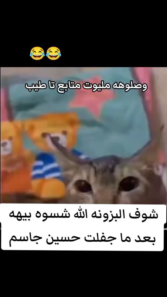TikTok video thumbnail by ..._a083