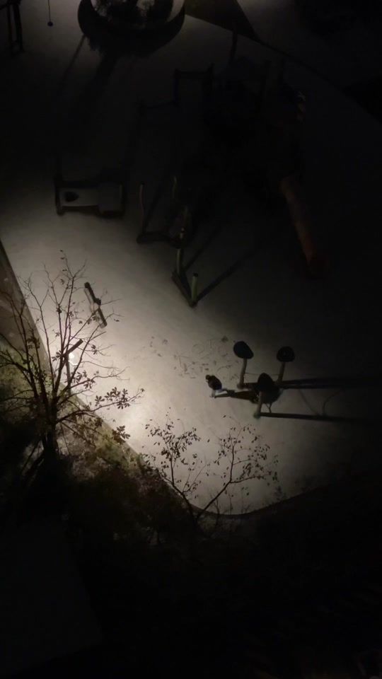 TikTok video thumbnail by __choo_