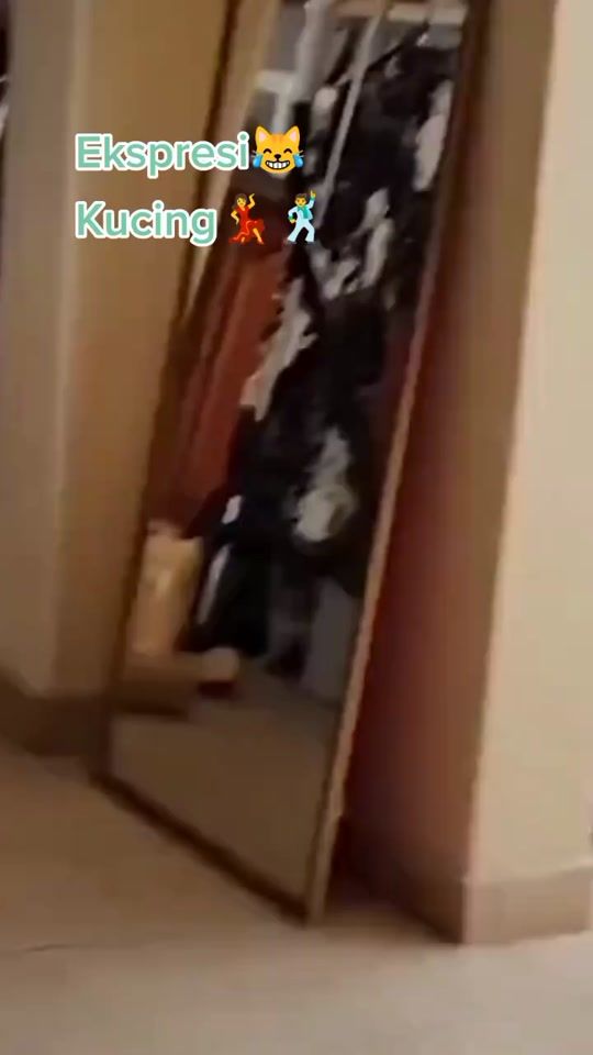 TikTok video thumbnail by 06oscar17