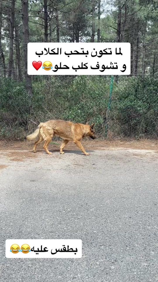 TikTok video thumbnail by iamnab95