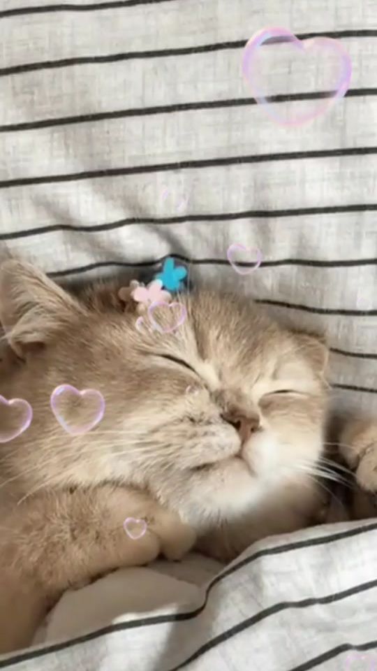 TikTok video thumbnail by lidija75