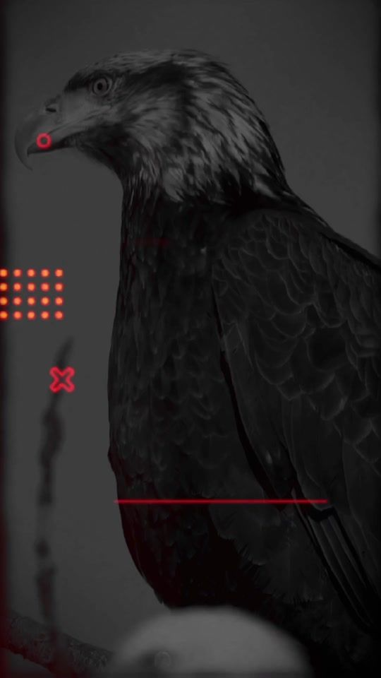 TikTok video thumbnail by 1997kab