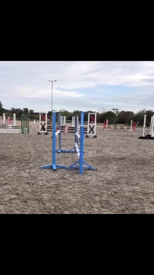 TikTok video thumbnail by horses_and_horsefails_