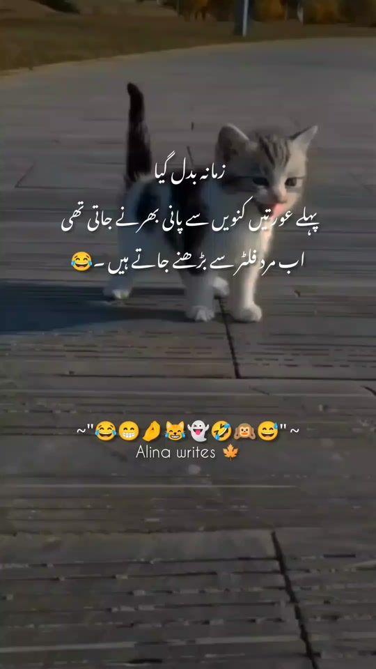 TikTok video thumbnail by ishqwrites550