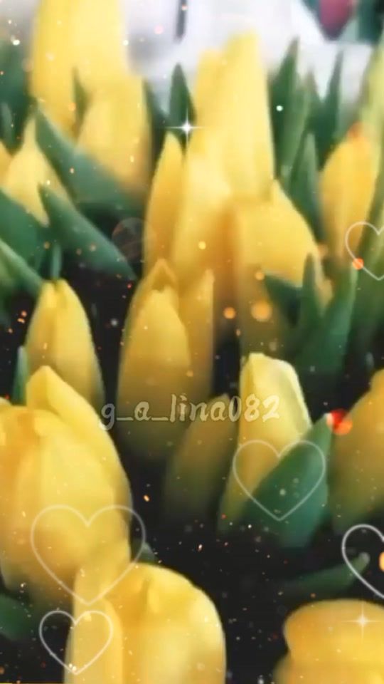 TikTok video thumbnail by _g_a__lina
