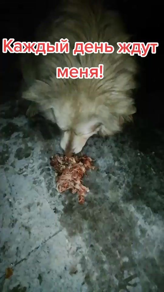 TikTok video thumbnail by dobridrugengsar