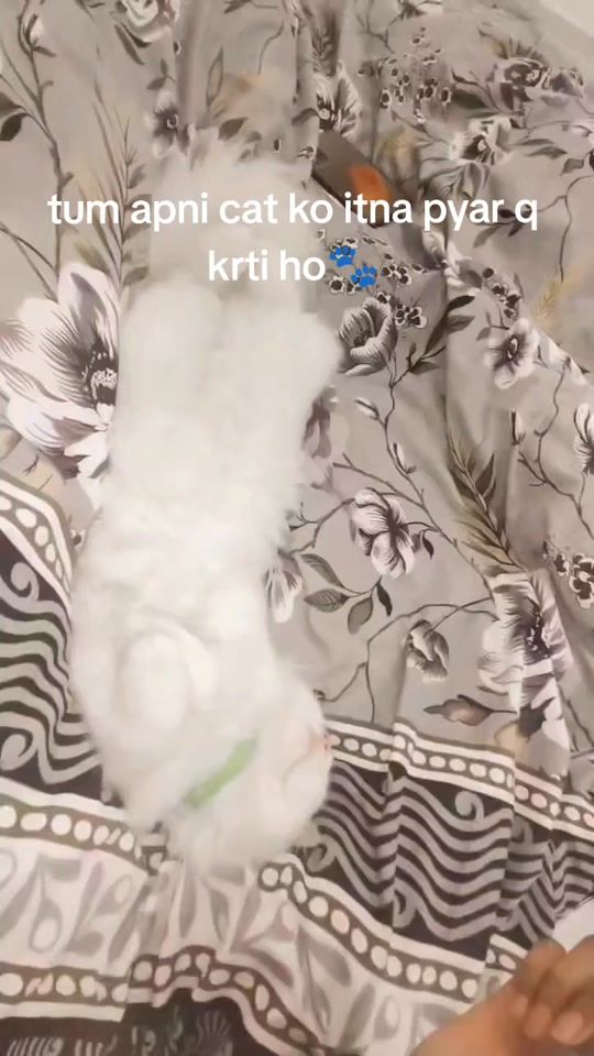 TikTok video thumbnail by ailuro32