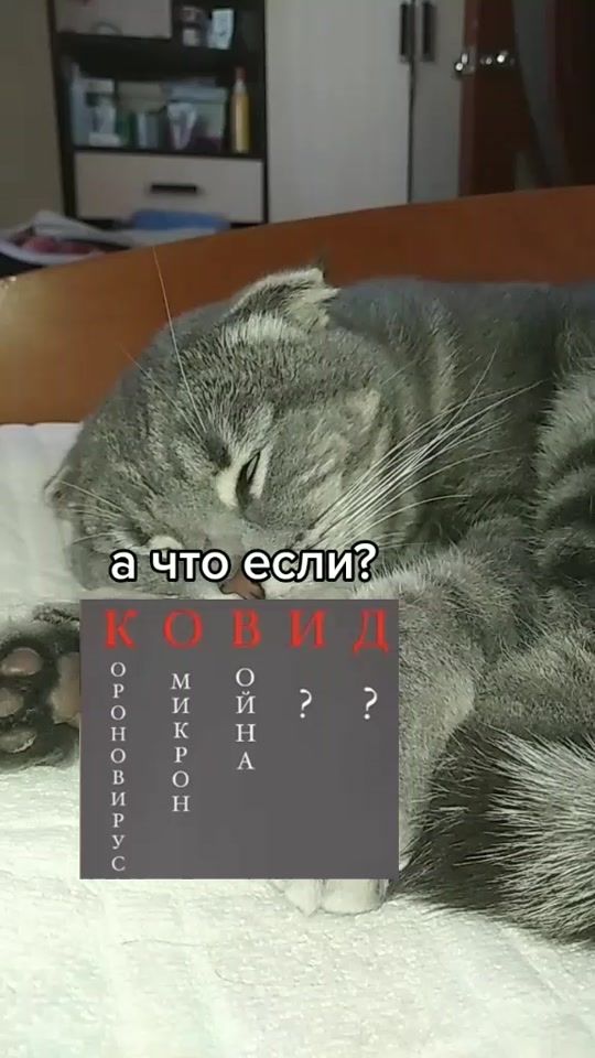 TikTok video thumbnail by vampcats0