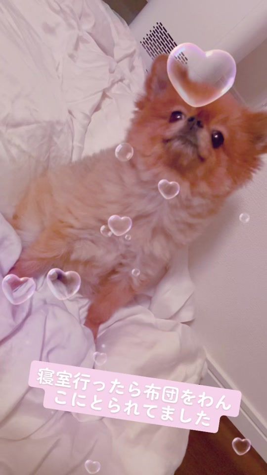 TikTok video thumbnail by riinukun