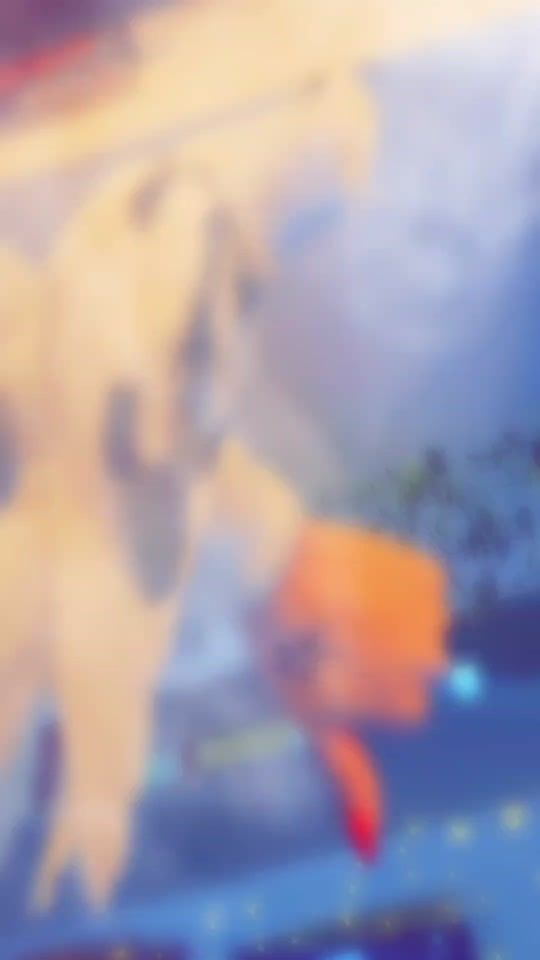 TikTok video thumbnail by 33489nmn