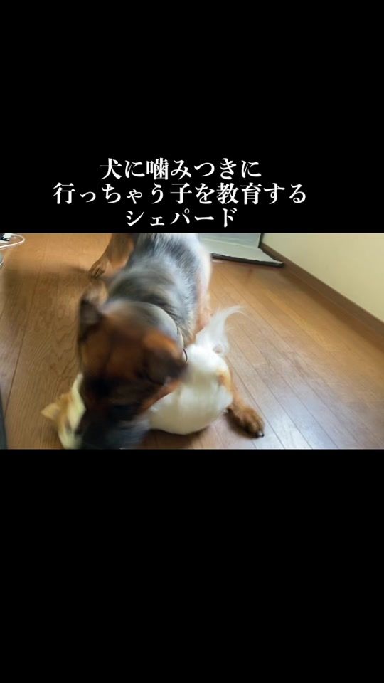 TikTok video thumbnail by yzsrnz