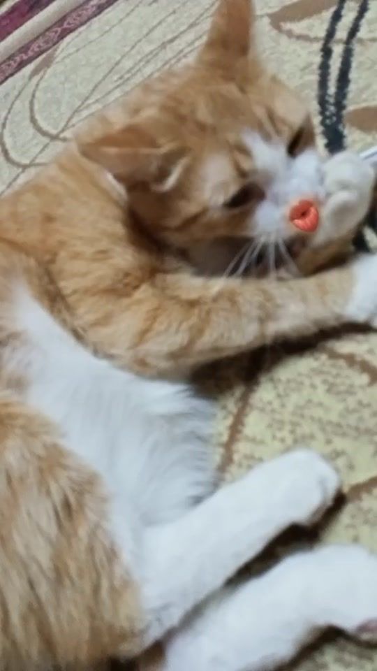 TikTok video thumbnail by nata18_18