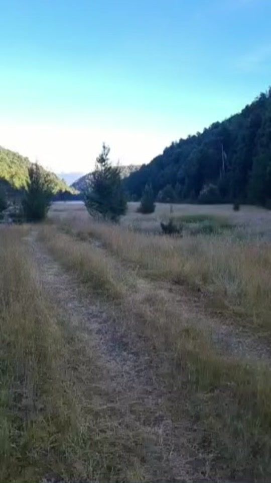 TikTok video thumbnail by eduxc1