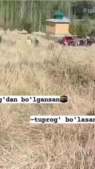 TikTok video thumbnail by xusan_oken01