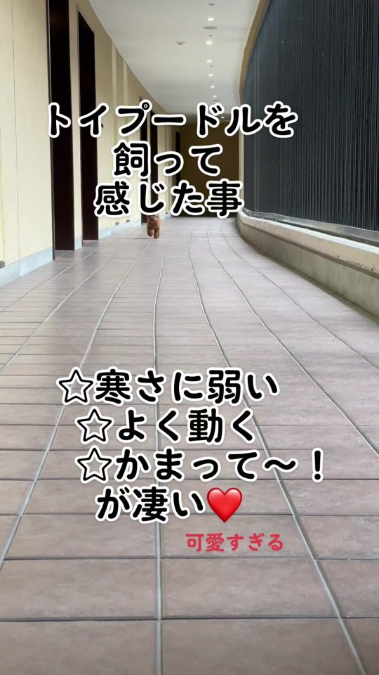 TikTok video thumbnail by anchan.cute
